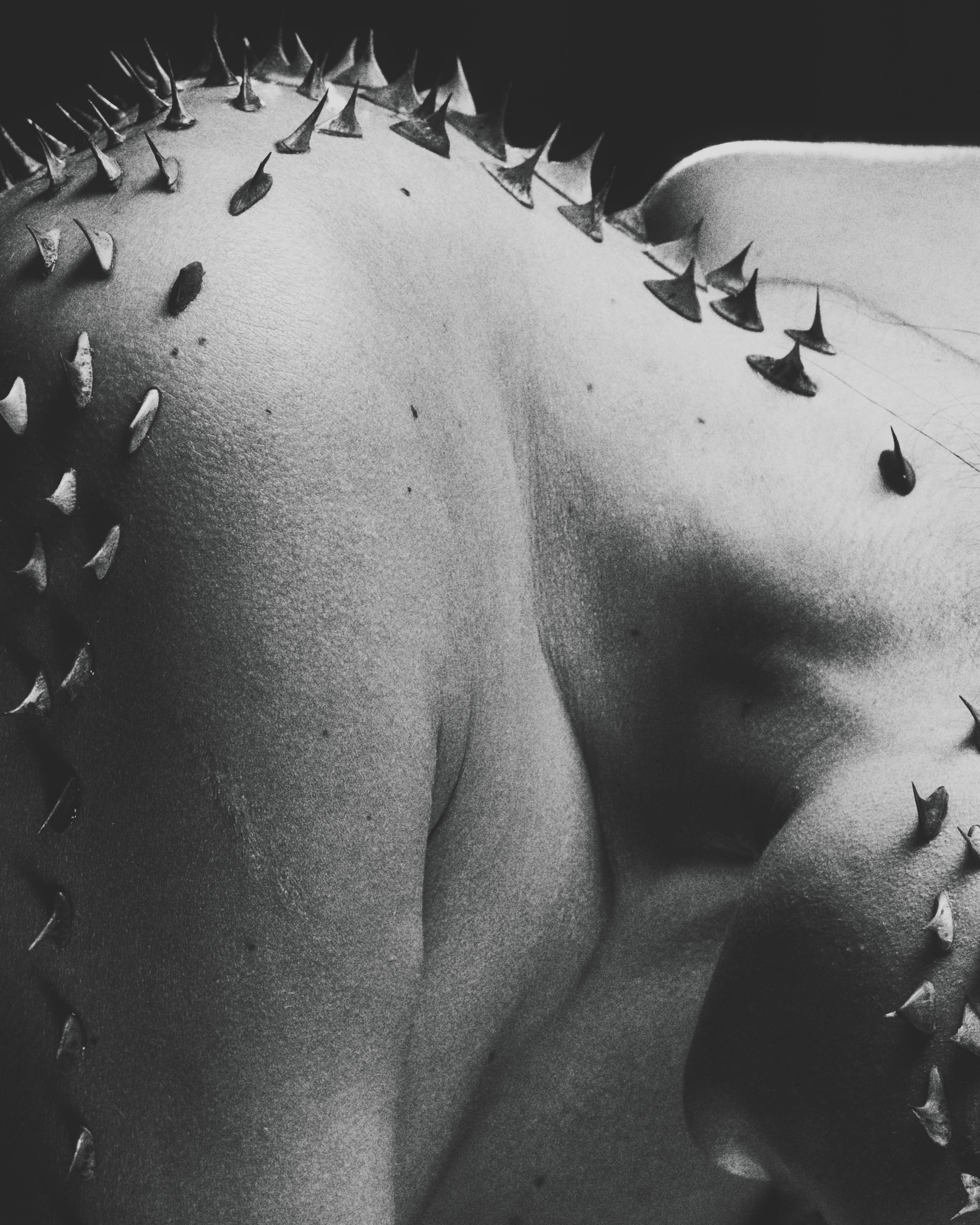 fine art conceptual photography — close-up of bare back with organic spikes, body and nature tension series, Toronto photographer Daniyar Sadykov